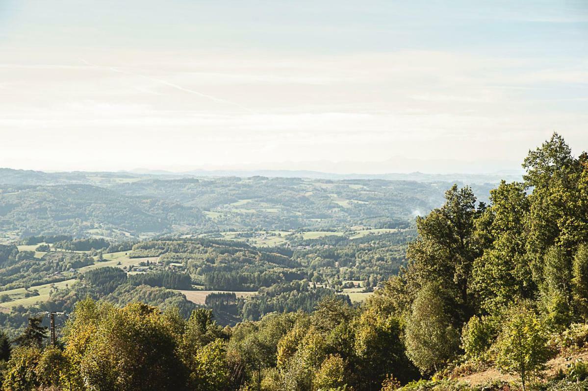 Gite " Oree Des Bois" Vertolaye Exterior foto