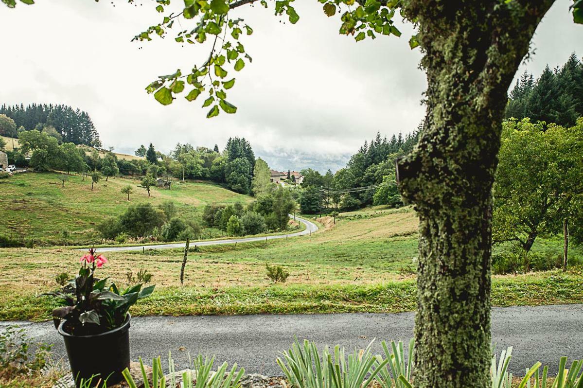 Gite " Oree Des Bois" Vertolaye Exterior foto