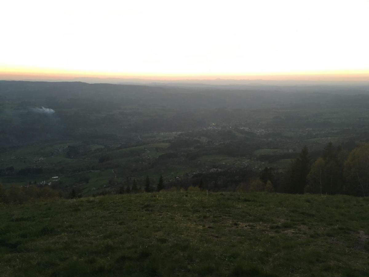 Gite " Oree Des Bois" Vertolaye Exterior foto